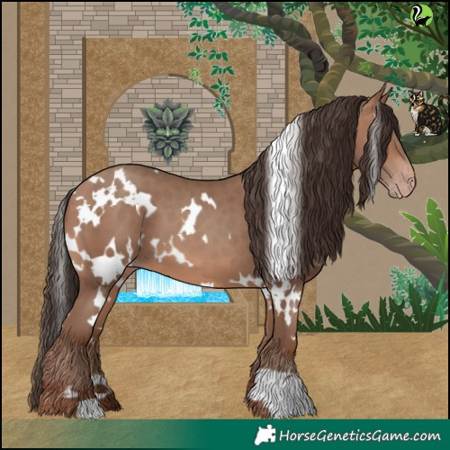 Horse Color:White Spotted Sable Champagne 