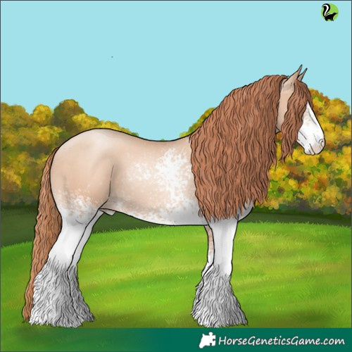 Horse Color:White Spotted Sable Champagne Pearl 