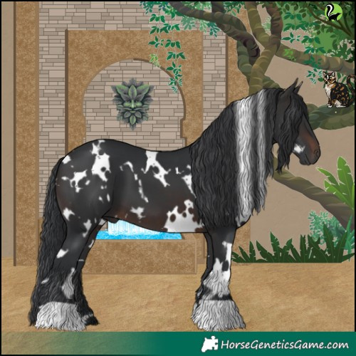 Horse Color:White Spotted Brown 