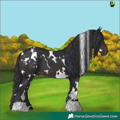 Horse Color:White Spotted Brown 