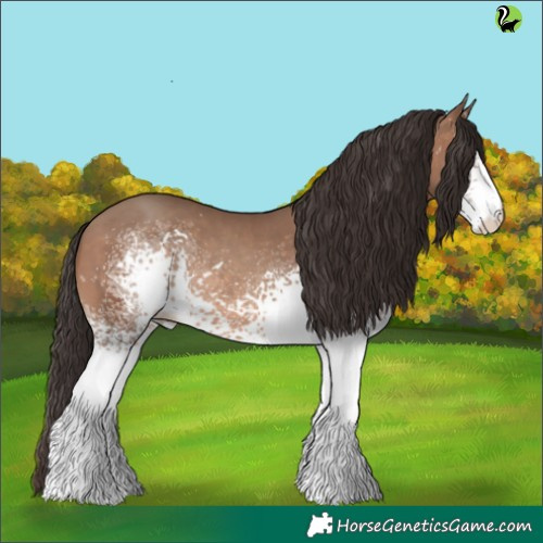 Horse Color:White Spotted Sable Champagne