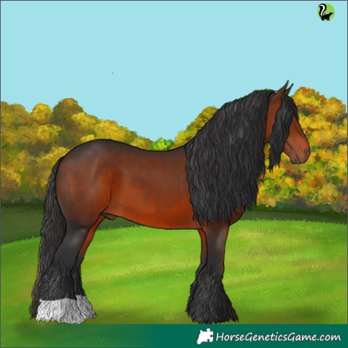 Horse Color:Brown 