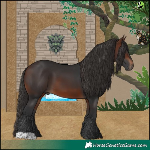 Horse Color:Brown 
