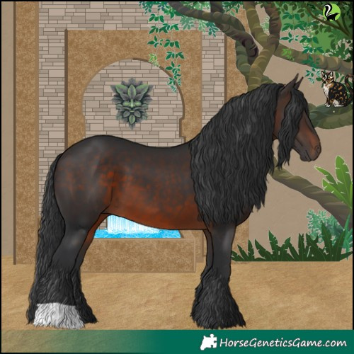 Horse Color:Brown 