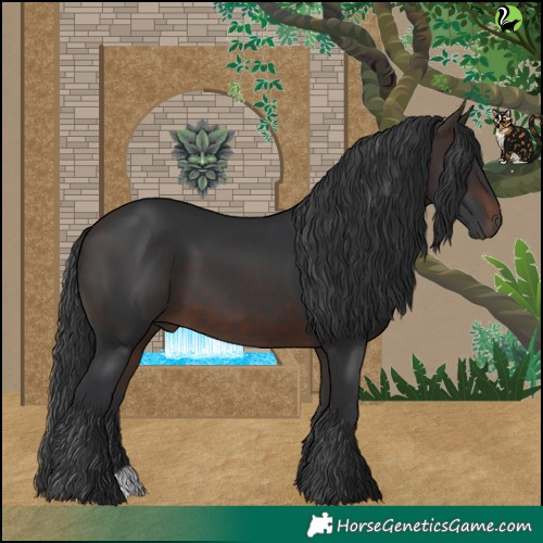 Horse Color:Brown 