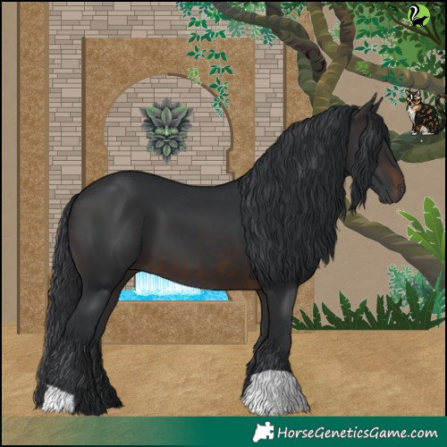 Horse Color:Brown 