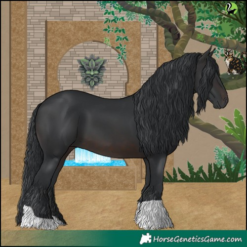 Horse Color:Brown 