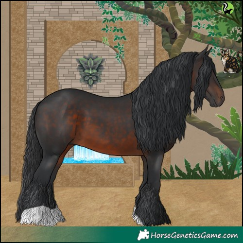 Horse Color:Brown 