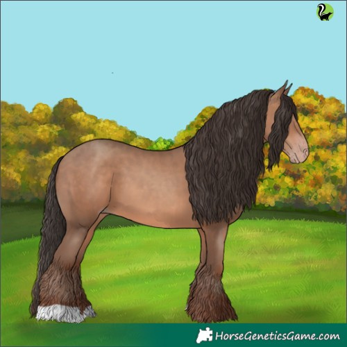 Horse Color:Sable Champagne 
