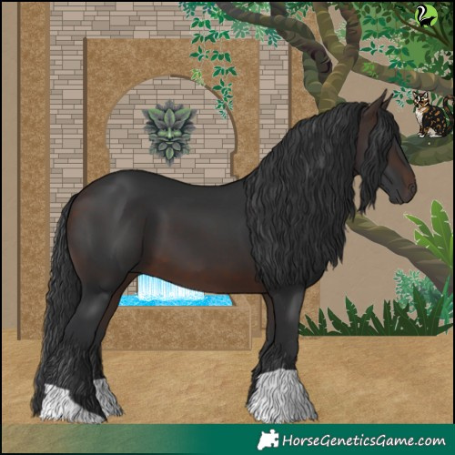 Horse Color:Brown 