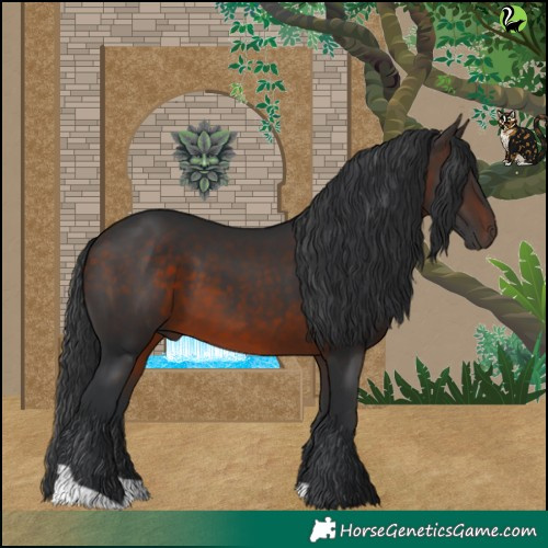 Horse Color:Brown 