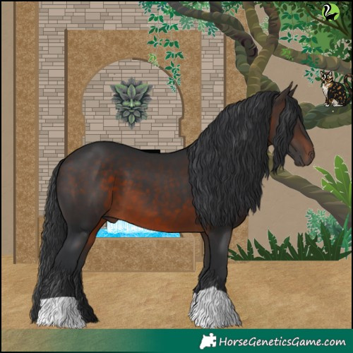Horse Color:Brown 