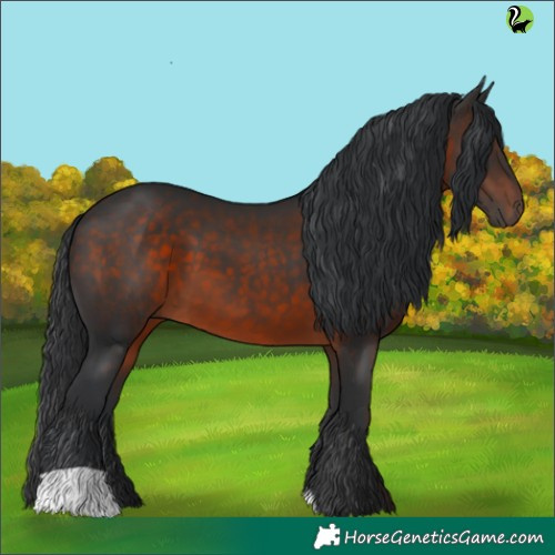 Horse Color:Brown 