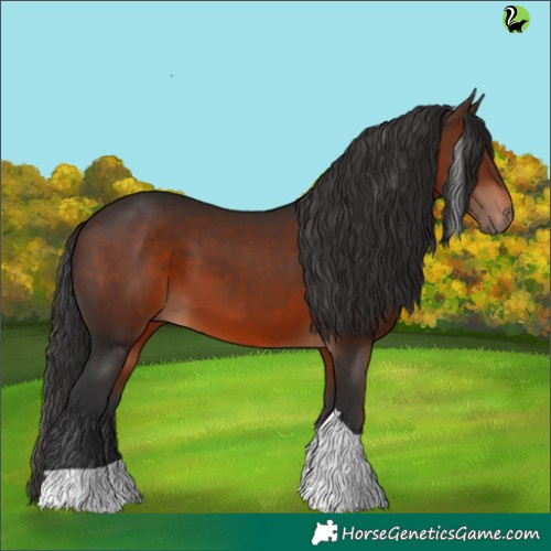 Horse Color:Brown Tobiano 