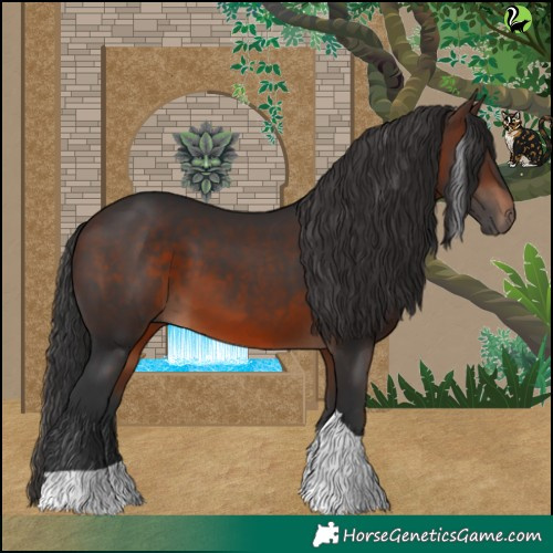 Horse Color:Brown Tobiano 