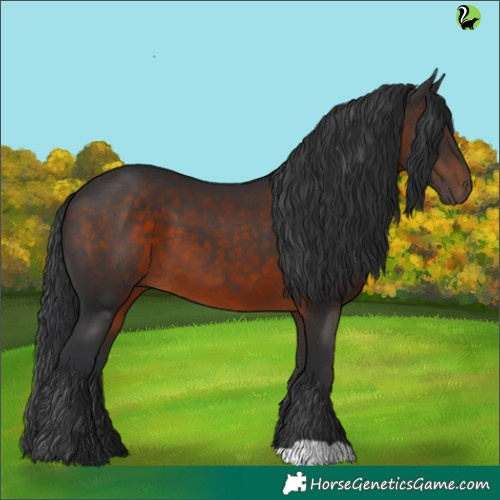 Horse Color:Brown 