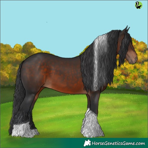 Horse Color:Brown Tobiano