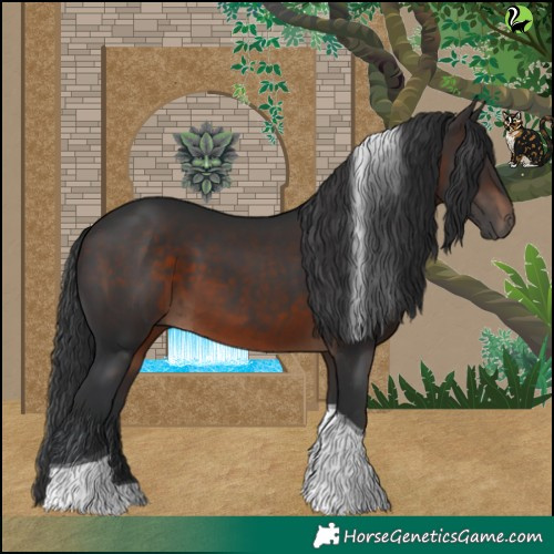 Horse Color:Brown Tobiano 