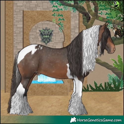Horse Color:Brown Tobiano Appaloosa 