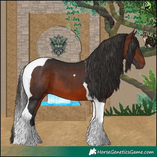 Horse Color:Brown Tobiano 
