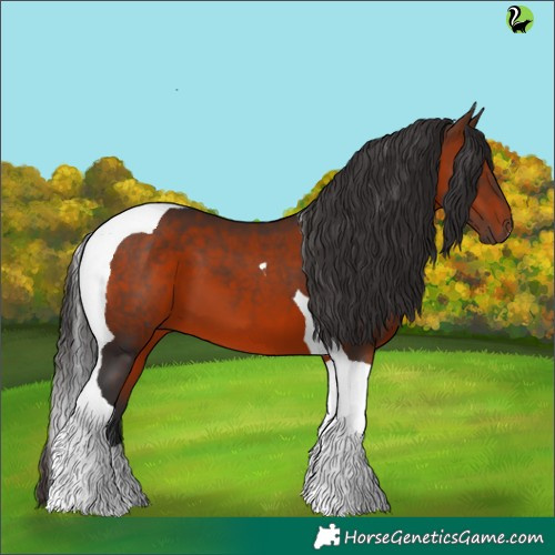 Horse Color:Brown Tobiano 