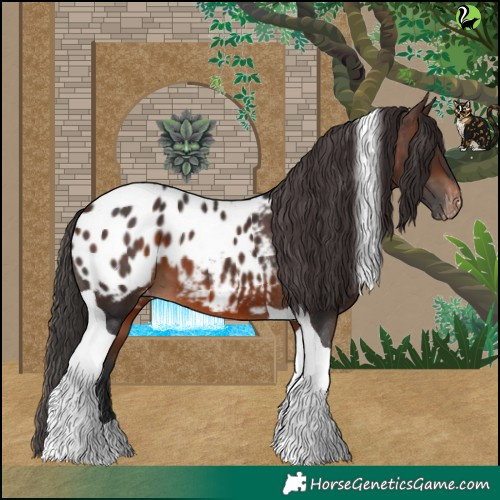 Horse Color:Brown Tobiano Blanket 