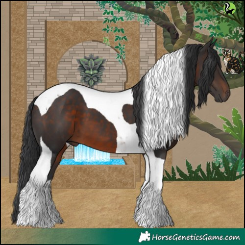 Horse Color:Brown Tobiano 