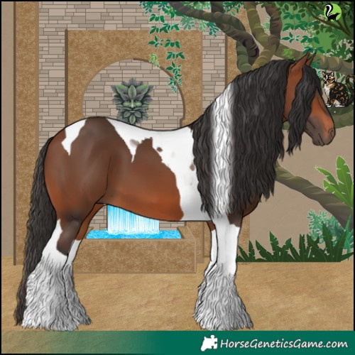 Horse Color:Bay Tobiano 