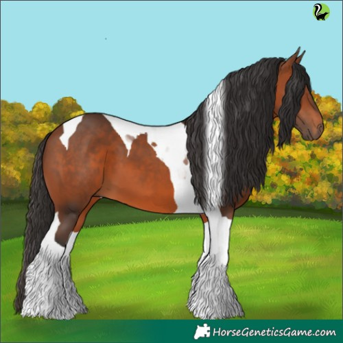 Horse Color:Bay Tobiano