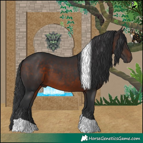 Horse Color:Brown Tobiano 