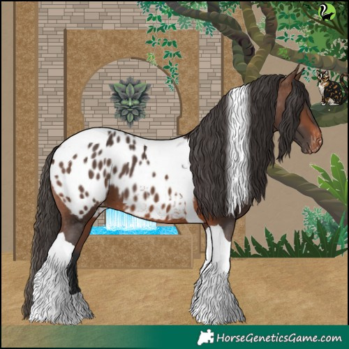 Horse Color:Brown Tobiano Blanket 