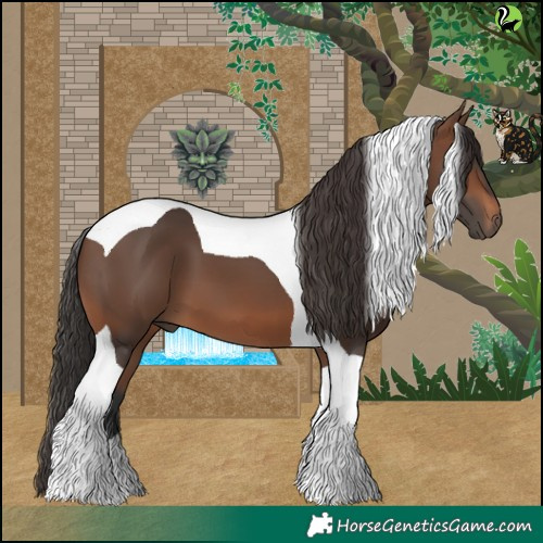 Horse Color:Brown Tobiano 
