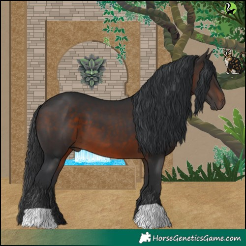 Horse Color:Brown 