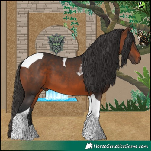 Horse Color:Brown Tobiano 