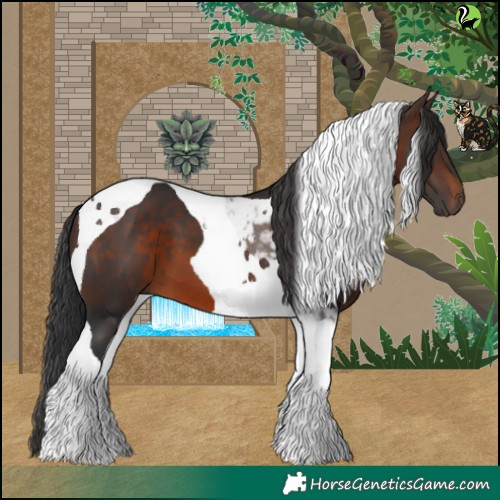 Horse Color:Brown Tobiano 