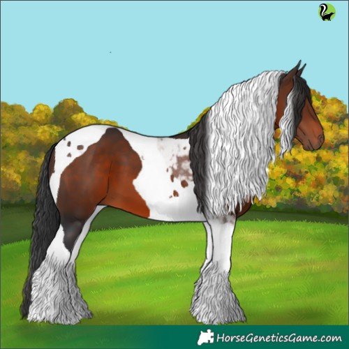 Horse Color:Brown Tobiano 