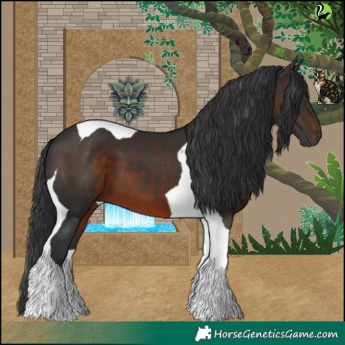Horse Color:Brown Tobiano 