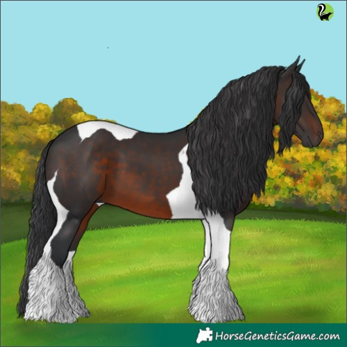 Horse Color:Brown Tobiano 