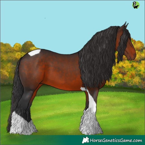 Horse Color:Brown Tobiano 