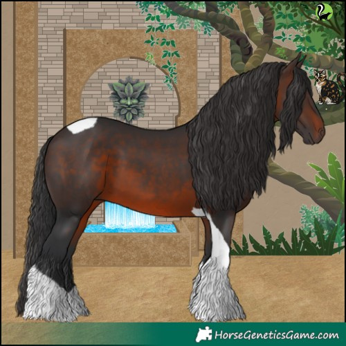 Horse Color:Brown Tobiano 