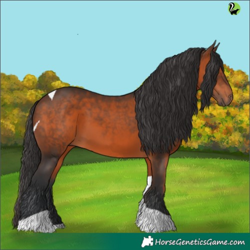 Horse Color:Brown Tobiano