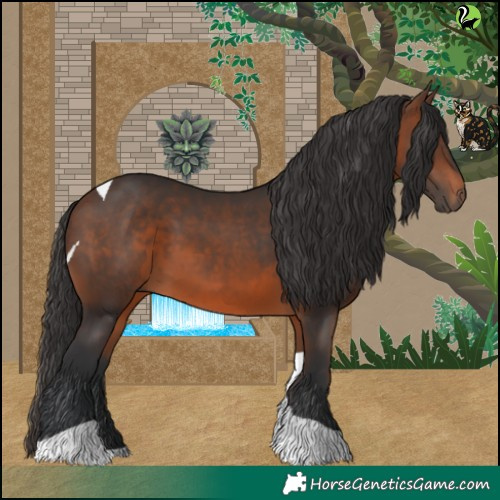 Horse Color:Brown Tobiano