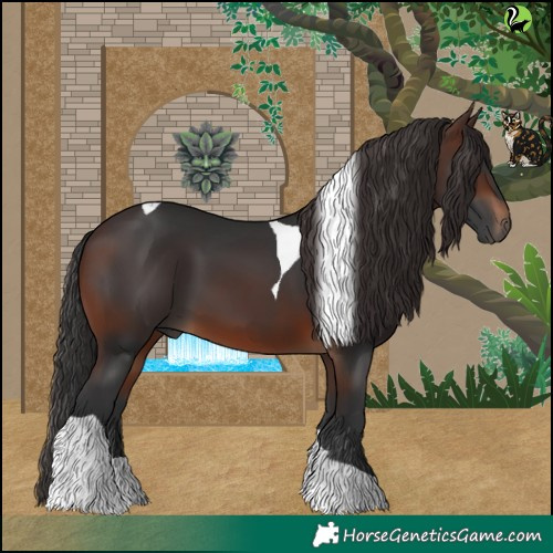 Horse Color:Brown Tobiano 