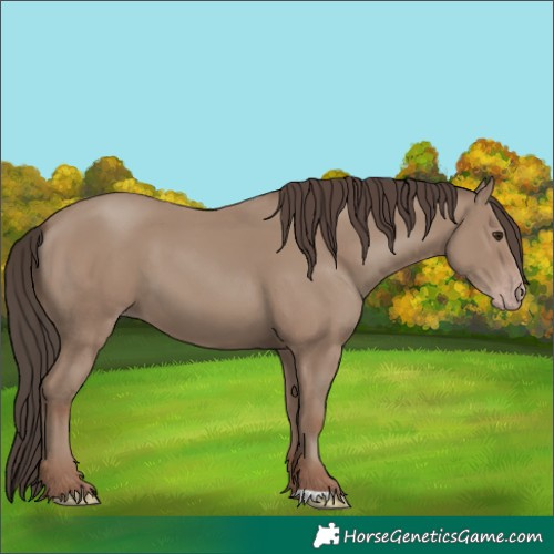 Horse Color:Classic Champagne 