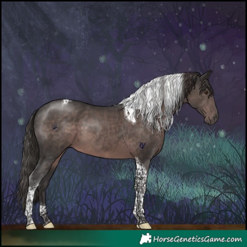 Horse Color:Platinum Liver Chestnut Tobiano 