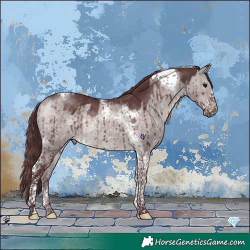 Horse Color:Platinum Chocolate Brown Dun Tobiano Frame Brindle 