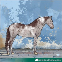 Horse Color:Platinum Chocolate Brown Dun Tobiano Frame Brindle 