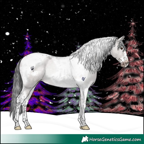 Horse Color:Platinum Liver Red Dun Tobiano Frame 