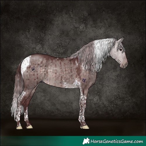 Horse Color:Platinum Chocolate Brown Dun Tobiano Brindle 