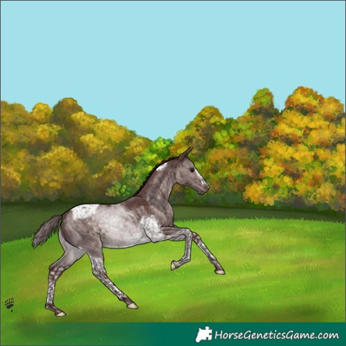 Horse Color:Platinum Chocolate Brown Dun Tobiano Frame Brindle 